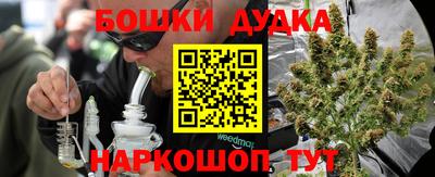 гидропоника Будённовск