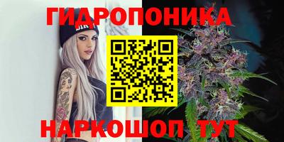 прущие грибы Бузулук