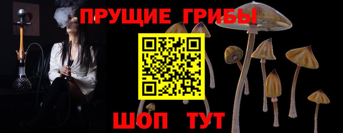 Галлюциногенные грибы Psilocybine cubensis  Галлюциногенные грибы Psilocybine cubensis  Переславль-Залесский  Вход с VPN 
